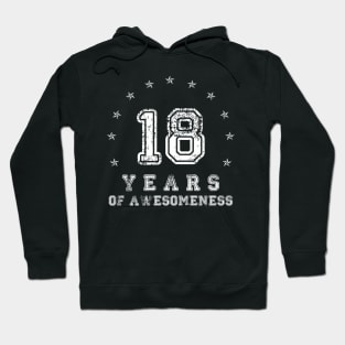 Vintage 18 years of awesomeness Hoodie